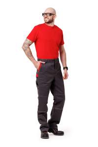 Линейка Феникс